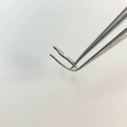 Watch Movement Small Spring Jumping Hour Click Generic Part 657 For GMT Master 3186 For Rolex 3186 Movement Watch Spare Parts