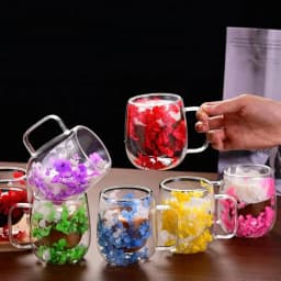 Double Wall Glass Cup 200ml Clear Dried Flowers Milk Tea Coffee Mug with Handle Gifts Friends Home Water Cup Drinking Glasses
