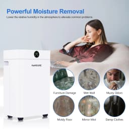 Dehumidifier 20 L, Dehumidifier Cellar Rooms with Digital Display, 24H Timer, Automatic Defrosting, Dry Clothes, Continuous Drai