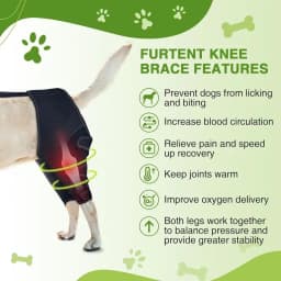 Dog Back Brace Pet Orthopedic Hip Hock Support Brace Adjustable Leg Support For Keeping Animal Joints Warm And Stable