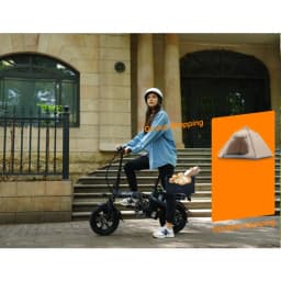 URLIFE F1L E-Bike 350W Brushless Motor 48V7.8AH Battery Adult Portable Electric Bike 14 In Tire City Commuting Electric Bicycle