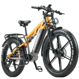 RANDRIDE YX80-2 Adult Electric Bicycle 1000W*2 Motor Mountain Electric Bike 48V20AH Battery 26 Inch Fat Tire Off Road E-Bike