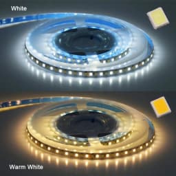 DC12V/24V SMD 2835 CCT Dual White Dimmable LED Strip Light WW CW Color Temperature Adjustable Flexible LED Tape Ribbon 5m