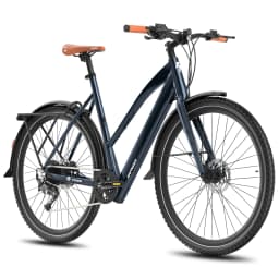 FAFREES F700M/F700W Adult Electric Bicycle 250W Motor City Electric Bicycle 36V10Ah Battery 700*42C Tire Commuter E-bike