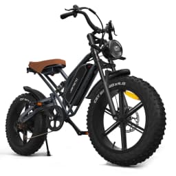 Jansno ebike X50 Adult Electric Bicycle 1000W Men's E-Mountain Bike 48V 17AH Battery 20 Inch Fat Tire Off-Road Electric Bike
