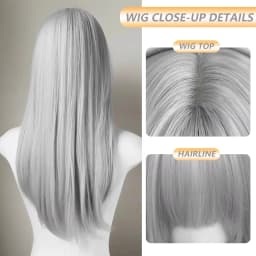 Silver-gray Straight Hair Synthetic Wig for Party, Halloween Cosplay, Role-playing, Daily Use, High-temperature Hair Accessory