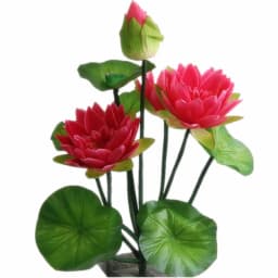 One Fake Lotus Flower Bunch Artificial Lotus with Green Frog Silk Water Lily 10 Stalks for Wedding Party Home Decorative Flowers