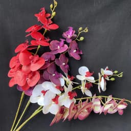 One Latex Butterfly Orchid Flowers 9 Heads Real Touch Good Quality Artificial Phalaenopsis Orchid