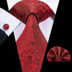 Mens Gift Tie Set Red Wine Burgundy Paisley Wedding Floral Maroon NeckTie For Men Fashion Design Hanky Cufflinks silk Business
