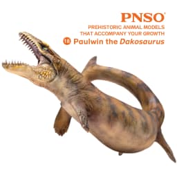 PNSO Prehistoric Dinosaur Models: 18Paulwun The Dakosaurus