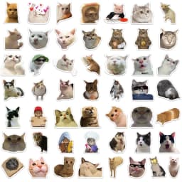 10/30/50PCS Cute Meme Animal Cat Kitty Stickers Skateboard Guitar Suitcase Freezer Motorcycle Classic Toy Decal Funny Sticker