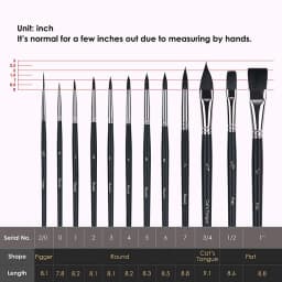 12PCS Professional Watercolor Paint Brushes Set Artist Synthetic Fine Squirrel Brush Round Tip for Detail, Gouache, Acrylic, Oil