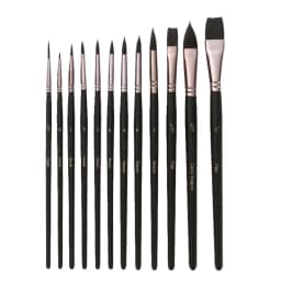 12PCS Professional Watercolor Paint Brushes Set Artist Synthetic Fine Squirrel Brush Round Tip for Detail, Gouache, Acrylic, Oil