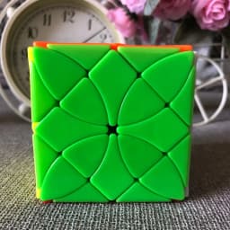 New FangShi Lim Morphidae Magic cube Puzzle Funs Lim Morpho Deidamia Aureola Helenor Octavia Stickerless Cubos Magico Kids Toys