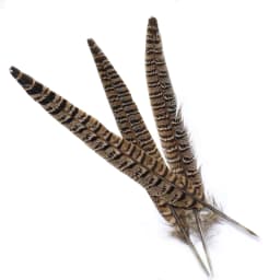 Royal Sissi Selected 6pcs Hen Pheasant Tail Feather March Brown Length 25-35cm Fly Tying Feathers Trout Fly Wing Tying Materials