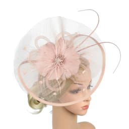 Women Girl Fascinator Hat Alice Headband Hairpin Mesh Hat Feather Cocktail Wedding Kentucky Derby Tea Party Hat Headwear