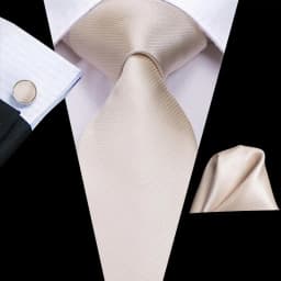 Champagne Floral Paisley Elegant Tie For Men Groom Wedding Yellow Gray Men Necktie Hankerchief Cufflink Accessory Wholesale silk