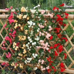 Zerolife Artificial Rose String Flower Garland 1.8M 69 Heads Fake Floral Flower Decor Home Garden Wed Yellow Parti Decorations