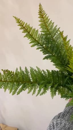 Artificial Shrubs Fake Boston Fern Plants Natural Fern Bushes UV Resistant Greenery Bunches Faux Plants Shrubs for Outdoor Decor