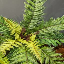 Artificial Shrubs Fake Boston Fern Plants Natural Fern Bushes UV Resistant Greenery Bunches Faux Plants Shrubs for Outdoor Decor