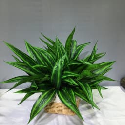 13in Artificial Plants Wall Palm Leaves Tropical Fake Dracaena Tree Lily Bamboo Plastic Magnolia Foliage For Home Garden Decor