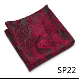 Mix Colors Newest style Classic Silk Pocket Square Handkerchief Clothing accessories Paisley Beige Male Fit Business