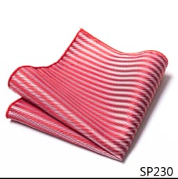 Mix Colors Newest style Classic Silk Pocket Square Handkerchief Clothing accessories Paisley Beige Male Fit Business