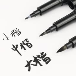 3 Pcs/Set Calligraphy Painting Pen Chinese Brush Pens for Writing Lettering Signatures Soft Brush Tip Refillable Ink Art Craft