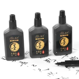 3 Pcs/Set Calligraphy Painting Pen Chinese Brush Pens for Writing Lettering Signatures Soft Brush Tip Refillable Ink Art Craft
