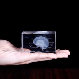 3D Human Anatomical Model Crystal Laser Brain Sculpture Cube Paperweight Figurines Thinking Medical Science Gift