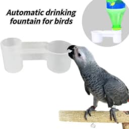Plastic Pet Bird Drinker Feeder Water Bottle Cup Cat Chicken Pigeon Parrot Hamster Double Nozzle Guide for Family Garden