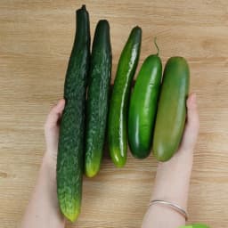 Simulation Bubble Long Cucumber Model Table Display Home Decorate Photography Props Plastic Vegetable Crafts