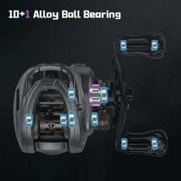 SOLOKING Acura 136g Ultra Light Baitcasting Reel BFS Baitcasting Fishing Reel 7.1/8.1 Gear Ratio 10+1BB 4KG Power Baitcaster