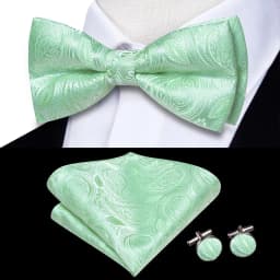 Hi-Tie Brand Silk Mens Bowtie Hanky Cufflinks Set Black Red Blue Gold Green White Pre-tied Butterfly Knot Bow Tie Wedding Work