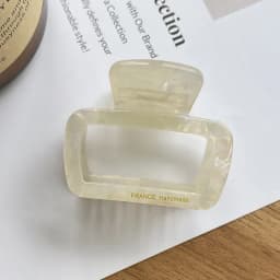 Korean FRANCE Retro Square Medium Pan Hair Clip Back Head Spoon Horsetail Hair Clip French Simple Shark Clip