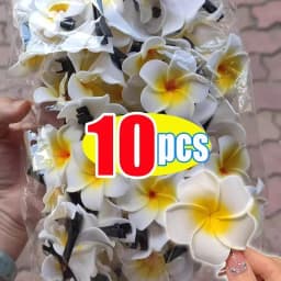 2025 New Women Plastic Flower Hair Clips Fashion Girls Hairpins Egg Flowers Barrette Hawaiian Vacation Leisure Hair Accessories