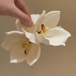 Yellow Elegant Magnolia Shark Clip Acrylic Sweet Yulan Flower Hair Claw Side Clip French Style Women Hair Accessories Summer