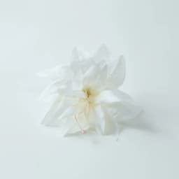 Fashion Peony Flower Women Hair Clip DIY Straw Hat Accessories Beach Holiday Bohemia Emulation Girl Hair Barrettes Headband