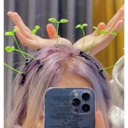 Creative Funny Little Bean Sprouts Grass Hair Clips for Girls Fashion Green Grass Bean Sprout Hairpins Plant Hair Accessories