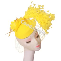 Veils Flower Fascinator Hat Hair Clip Ladies Kentucky Derby Ascot Festival Costume Party Show girl Headwear Women Pillbox Cap