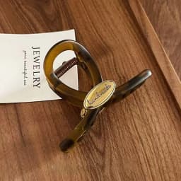 1pc Elegant Temperament Tortoiseshell Color Golden Label Letter Hair Claw, Women's High-End Temperament Hairstyle Shark Clip