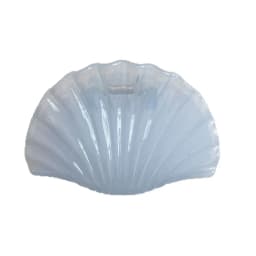 Elegant Acetate Hair Claw Clip Dolphin Shell Series Jelly Color Back Head Headwear Hair Claw Gift