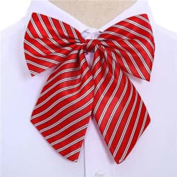 Stripe Airline Stewardess Necktie Korean Style Dots Bowknot Neckties Shirt Accessory Bank Teller Neck Tie