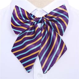 Stripe Airline Stewardess Necktie Korean Style Dots Bowknot Neckties Shirt Accessory Bank Teller Neck Tie