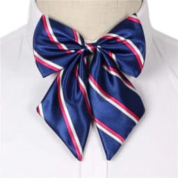 Stripe Airline Stewardess Necktie Korean Style Dots Bowknot Neckties Shirt Accessory Bank Teller Neck Tie