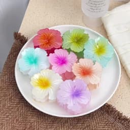 Hawaiian Gradient Hair Clips Flower Hair Claws Women Medium Size Fashion Headwear Hairpin Crab Barrette Hair Accessories