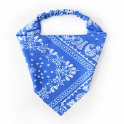 Women Bandana 1pc Women's Fashion Paisley Print Headband, Sun-Protective Sweat-Absorbent Elastic Headwrap, Suitable For Outdoor