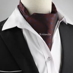 New Design Men's Ascot Scarf Necktie Fashion Paisley Dot Red Yellow Grey Cravat Business Meeting Gentleman Collar Accessory Gift