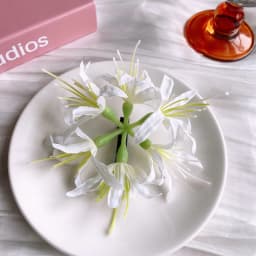 1Pc Super Fairy Lycoris Radiata Hair Clip Aesthetic Side Barrettes Broken Hair Fixed Clip Seaside Photo Hair Accessories Elegant