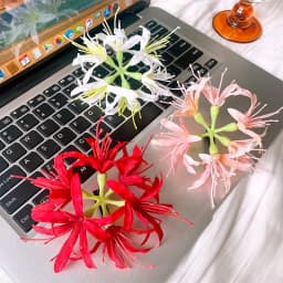 1Pc Super Fairy Lycoris Radiata Hair Clip Aesthetic Side Barrettes Broken Hair Fixed Clip Seaside Photo Hair Accessories Elegant